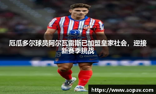 B体育bsports