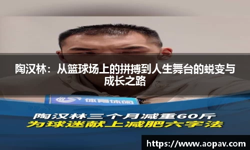 bsports官网入口