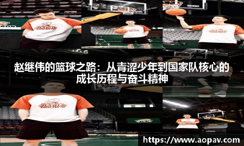 B体育bsports
