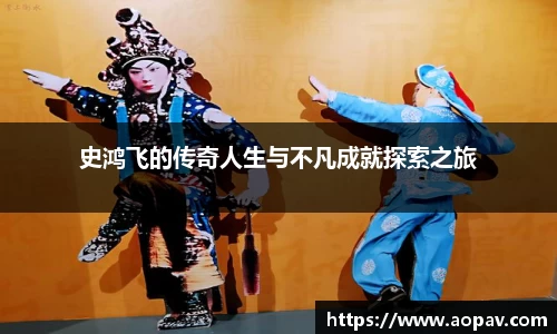 史鸿飞的传奇人生与不凡成就探索之旅