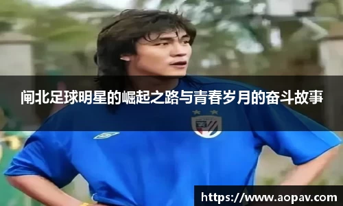 bsports官网入口