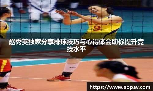 B体育bsports