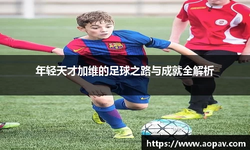 bsports官网入口