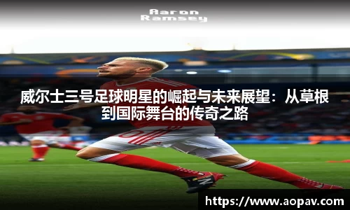 bsports官网入口