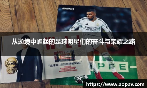 bsports官网入口