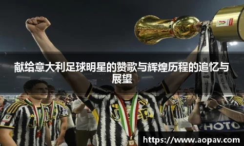 献给意大利足球明星的赞歌与辉煌历程的追忆与展望