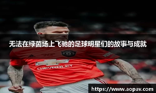 无法在绿茵场上飞驰的足球明星们的故事与成就